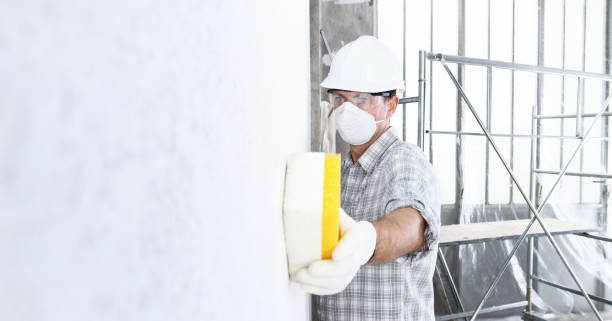 Best Mold Removal for HVAC Installations in Middletown, NY