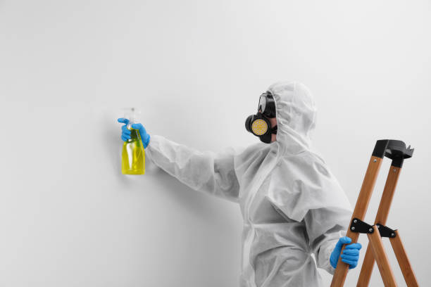 Best Forensic Mold Investigation in Middletown, NY