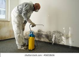 Best Mold Damage Restoration in Middletown, NY